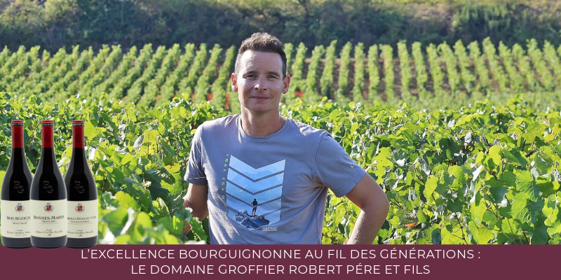 L&rsquo;Excellence Bourguignonne au Fil des G&eacute;n&eacute;rations : Le Domaine Groffier Robert P&egrave;re et Fils